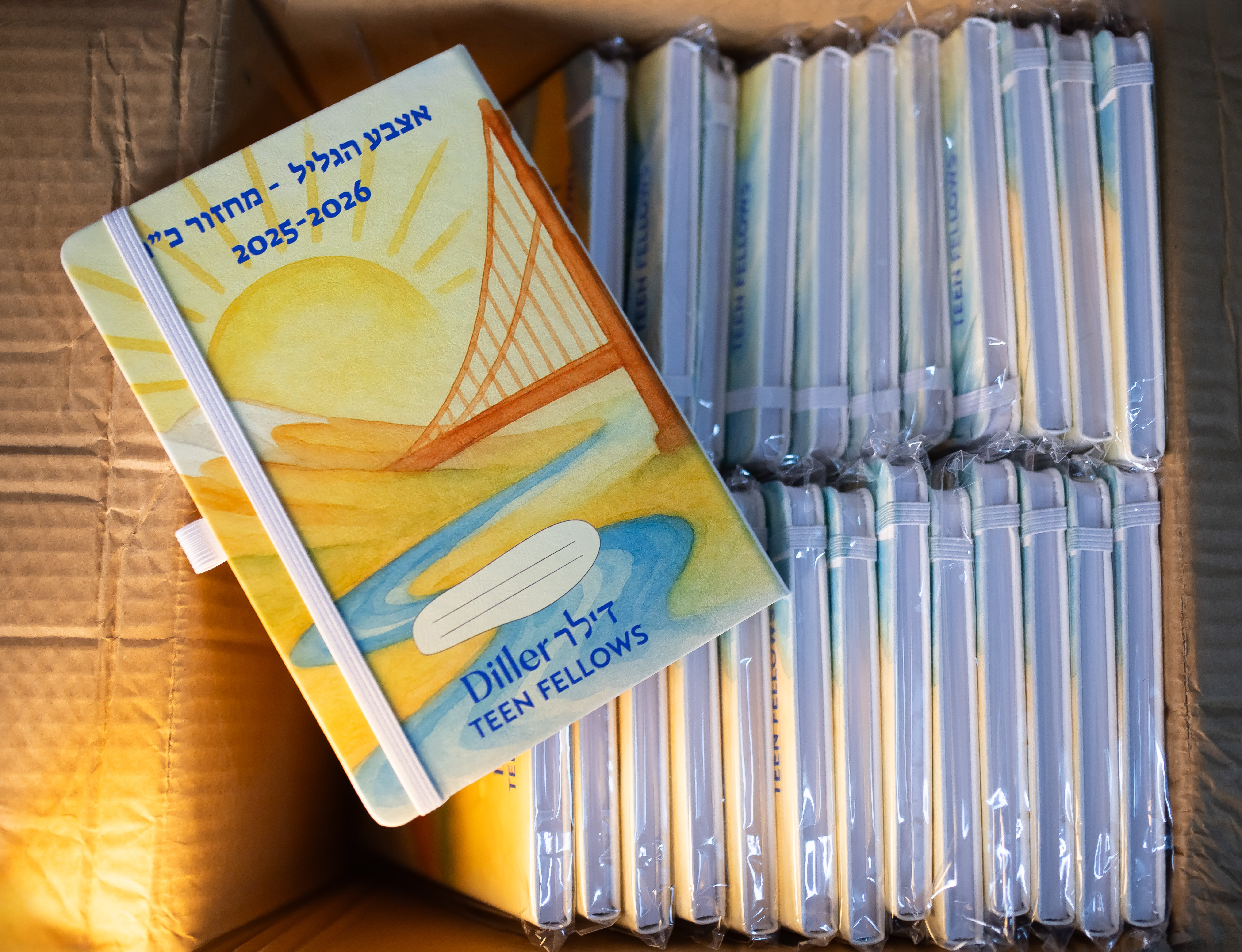 מחברות דילר אצבע הגליל