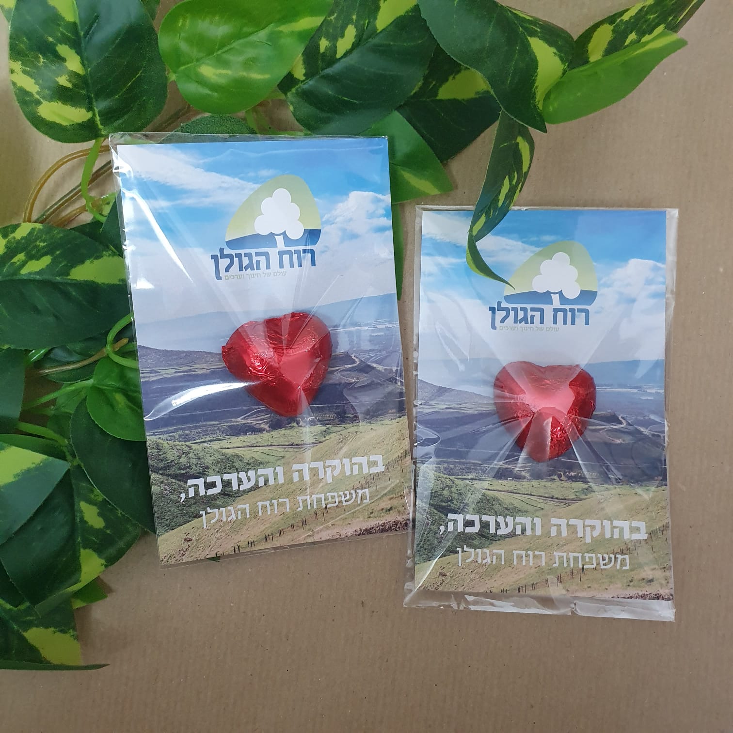 מארז גלויה ושוקולד ממותג