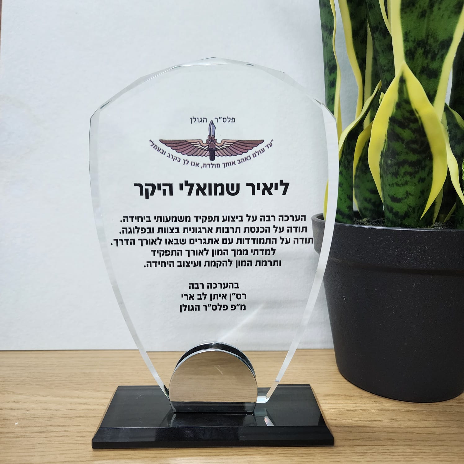 מגן הוקרה פלסר הגולן