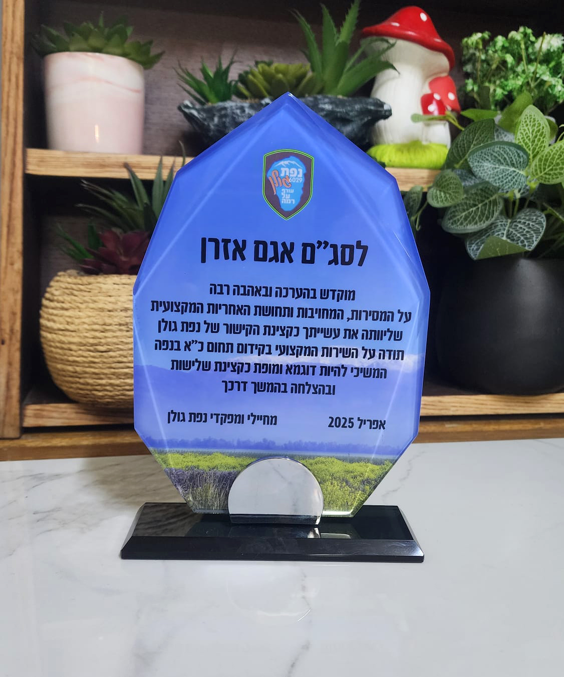מגן הוקרה זכוכית