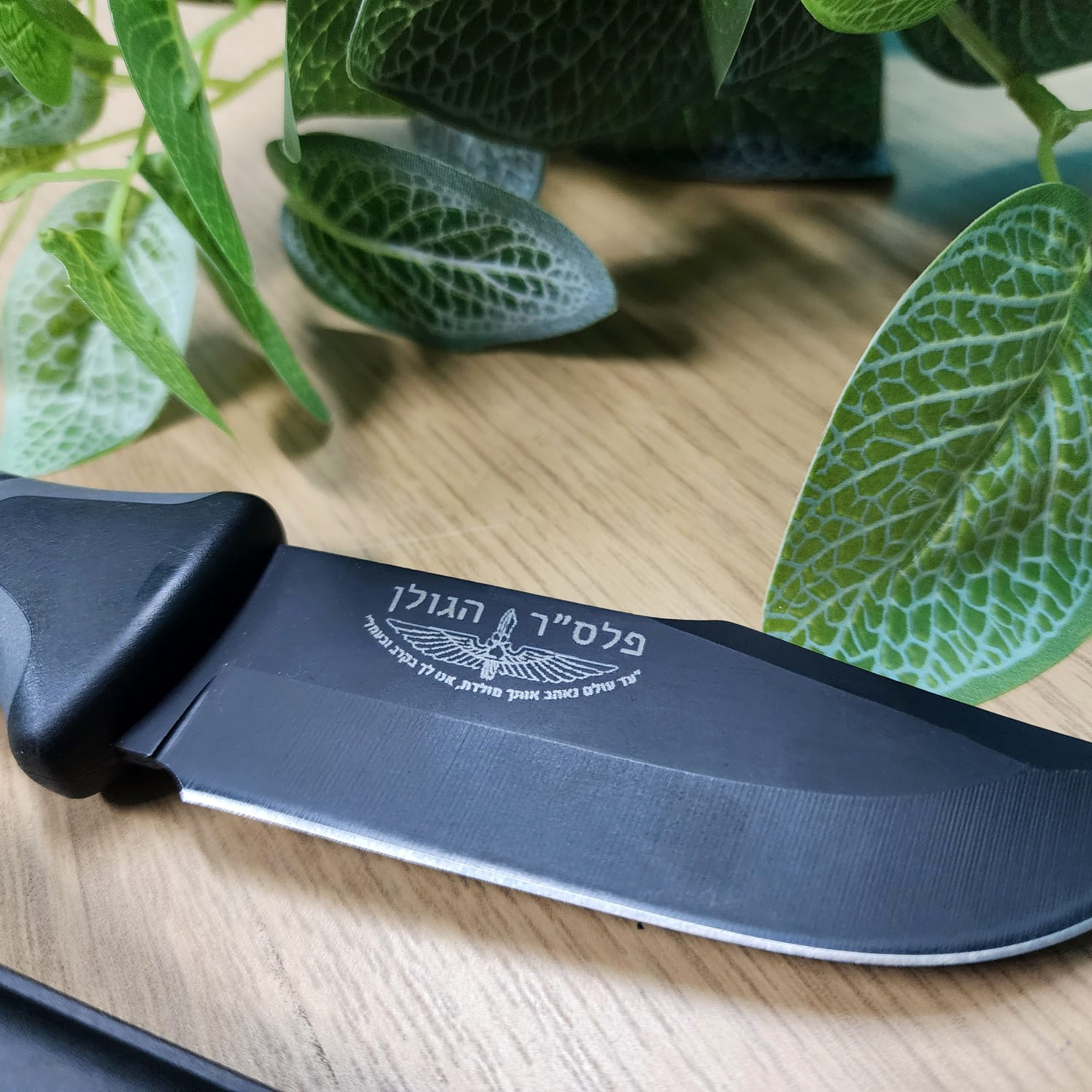 חריטה על סכין פלס"ר הגולן