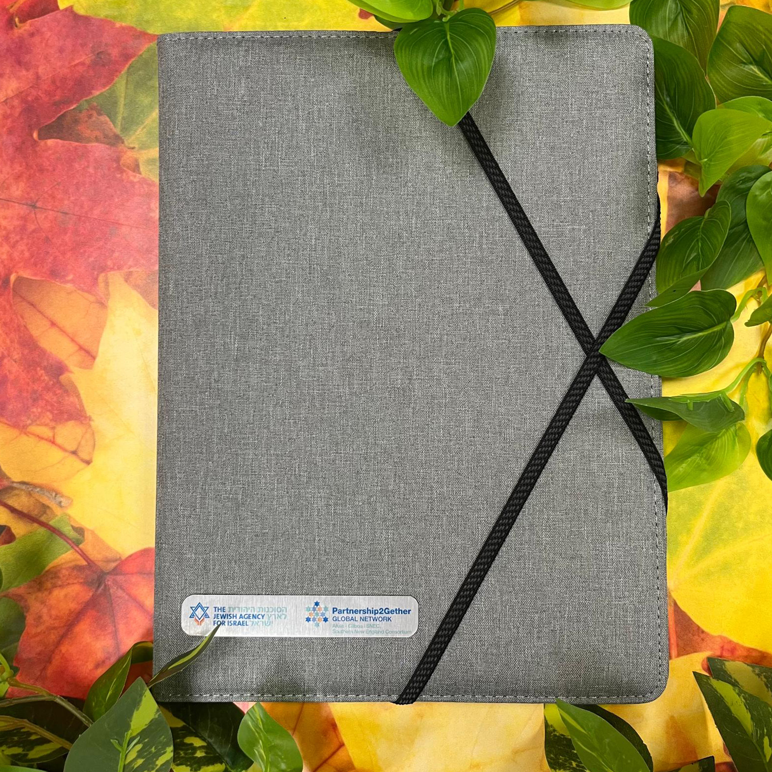 מיתוג מכתבייה פתיחה אנגלית