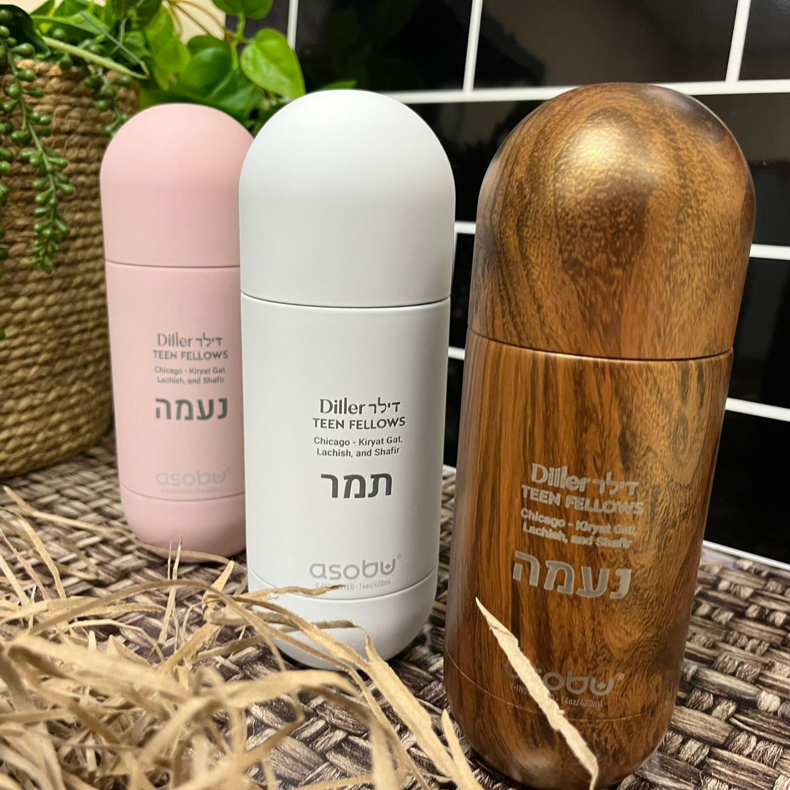 בקבוק תרמי קפסולה מבית ASOBU עם חריטה