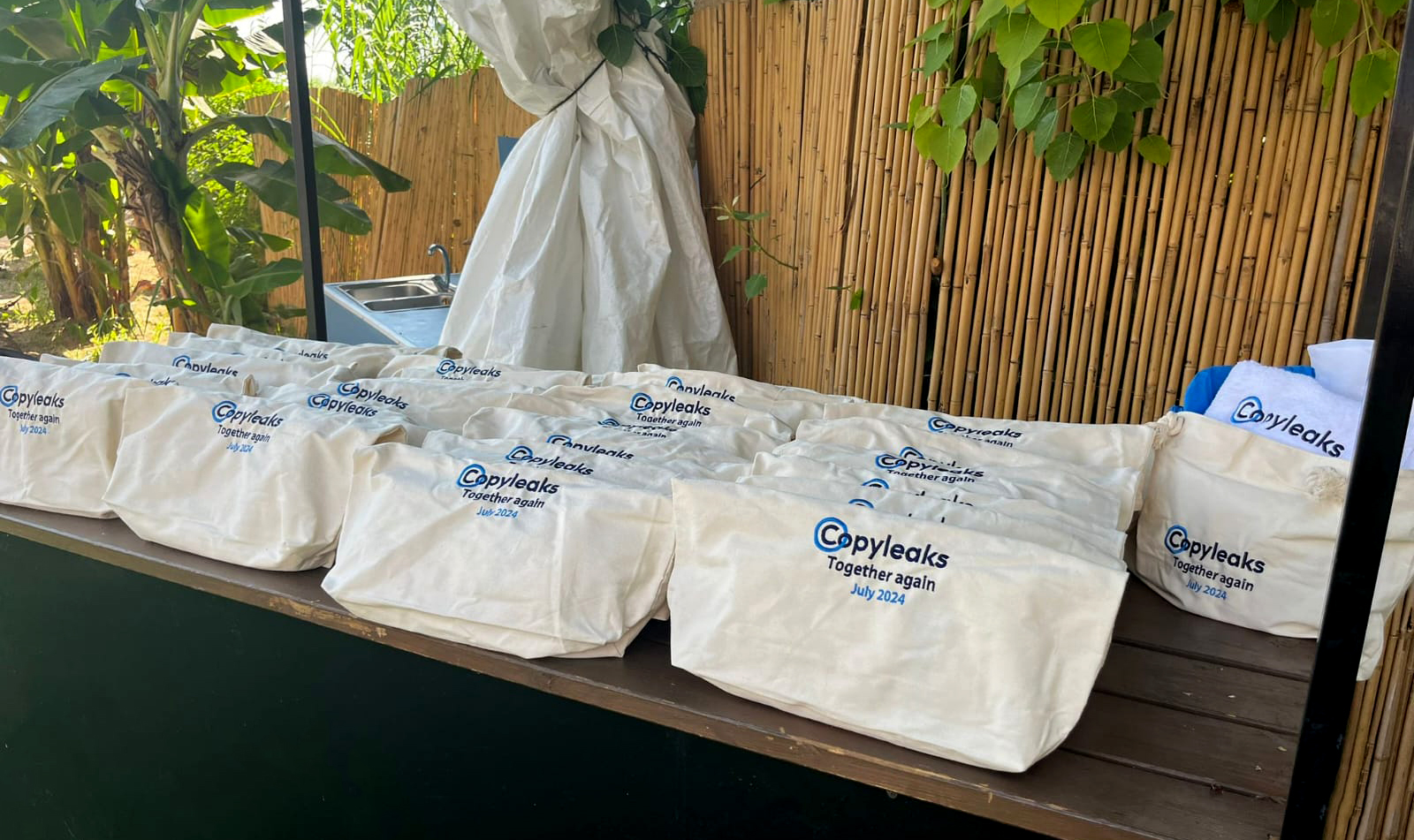 רקמה על תיקי בד