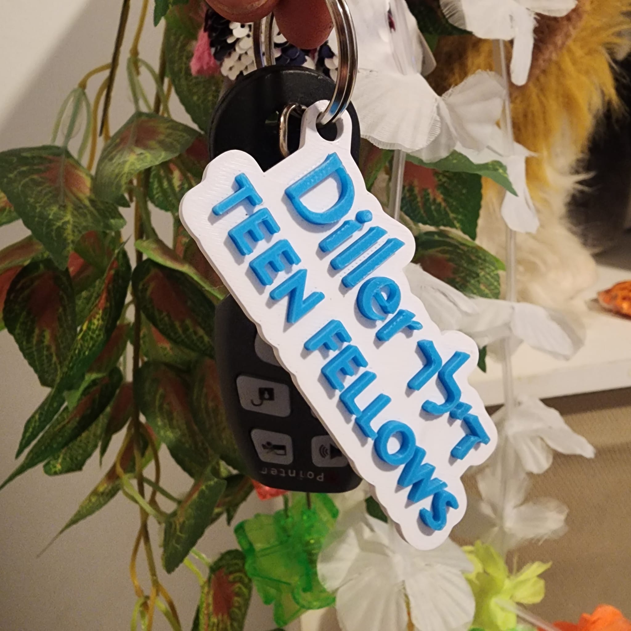 מחזיק מפתחות תלת מימד דילר