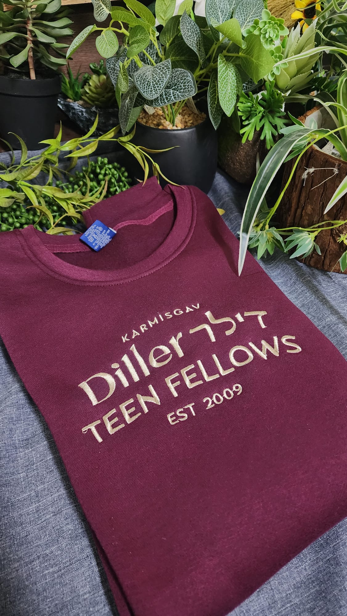 פוטר עם רקמה - תכנית עמיתי דילר