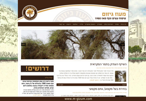 עיצוב אתר