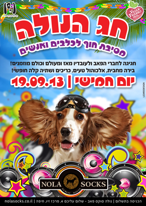 עיצוב פוסטר