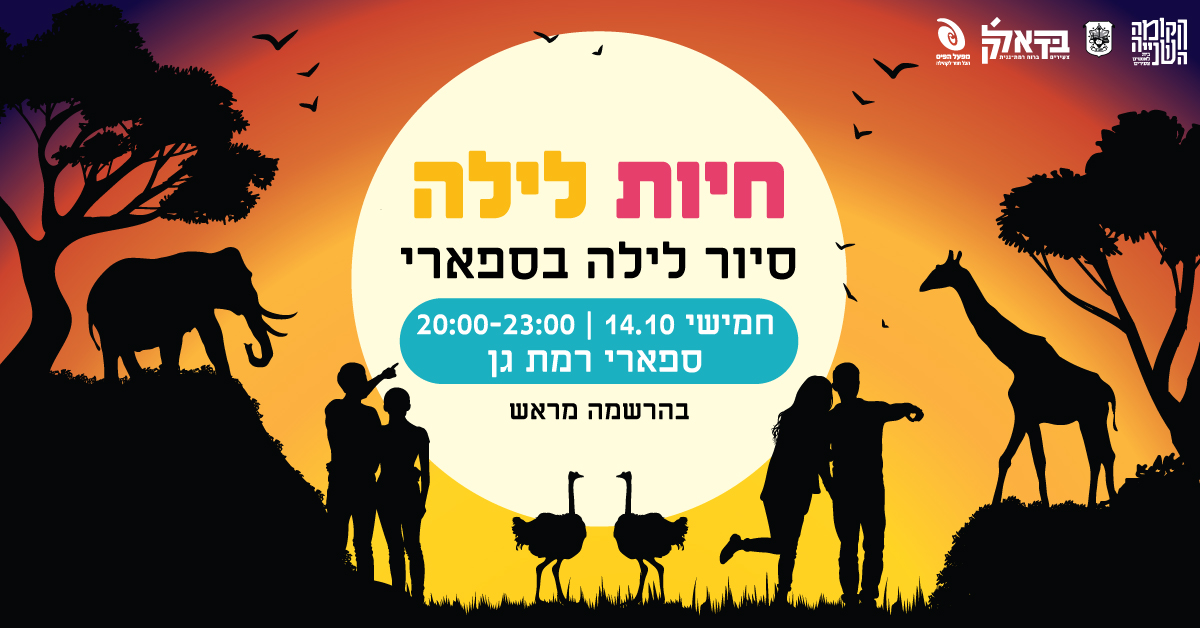 עיצוב פרסום לסיור לילי בספארי רמת גן