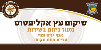 הדפסת שמשונית